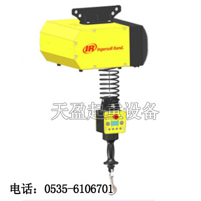 智能電動葫蘆原裝進口,EIW132120智能電動葫蘆現(xiàn)貨