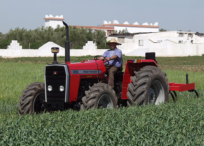 英國瑪斯(MASSEY FERGUSON)內燃牽引車 MF200