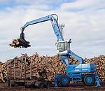 德國(guó)富奇(TEREX|Fuchs)MHL 460木材抓舉車(chē) MHL 460