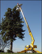 美國比艾爾-杰西(BIL-JAX)3632T Telescopic Boom Lift