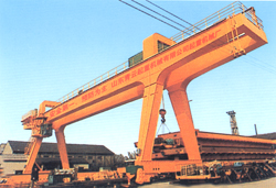 山東青云A型門式起重機(jī) A型